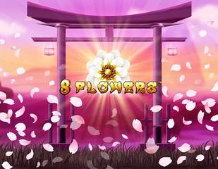 8 Flowers_image_Synot