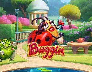 Buggin_image_ELK