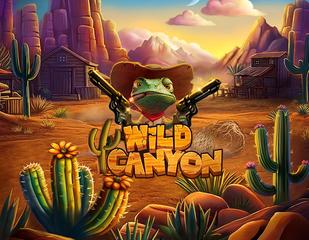 Wild Canyon_image_Stakelogic