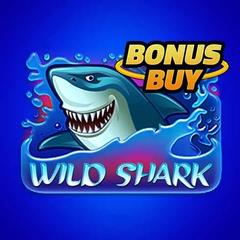Wild Shark _image_amatic
