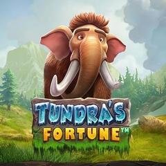Tundra’s Fortune_image_PragmaticPlay