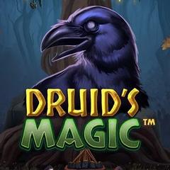 Druid’s Magic_image_Netent