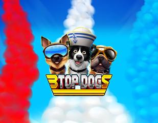 3 Top Dogs_image_1x2