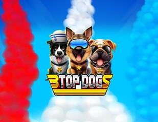 3 Top Dogs_image_1x2