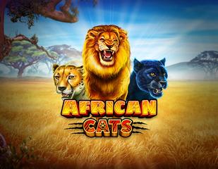 African Cats_image_rubyplay
