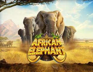 African Elephant_image_PragmaticPlay