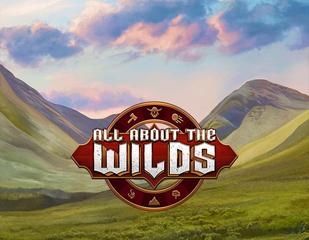 All About The Wilds_image_spinberry
