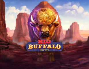 Big Buffalo_image_skywind
