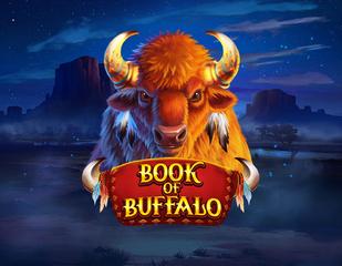 Book of Buffalo_image_braggstudios