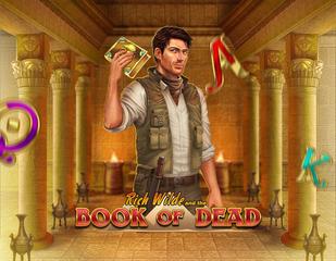 Book of Dead_image_Playngo