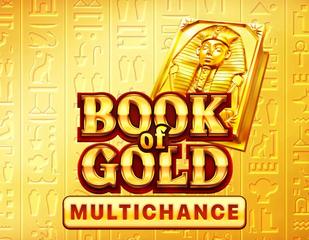 Book of Gold: Multichance_image_Playson