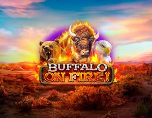 Buffalo on Fire_image_redrake
