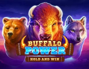 Buffalo Power: Hold and Win_image_Playson
