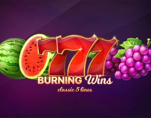 Burning Wins: classic 5 lines_image_Playson