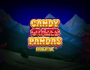 Candy Crazed Pandas DoubleMax_image_Yggdrasil