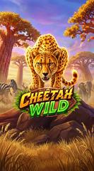 Cheetah Wild_image_PragmaticPlay