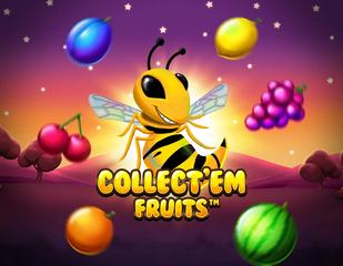 Collect'em fruits_image_Synot