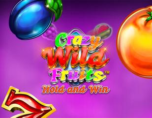 Crazy Wild Fruits_image_Synot