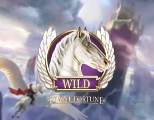 Divine Fortune_image_netent