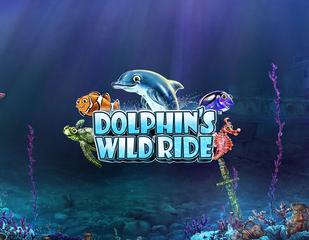Dolphin's Wild Ride_image_Synot