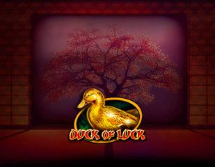 Duck of Luck_image_CT Interactive