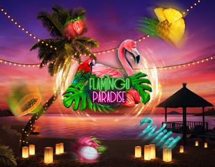 Flamingo Paradise_image_redrake