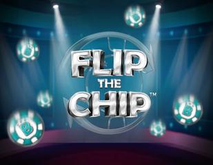 Flip the Chip_image_Synot
