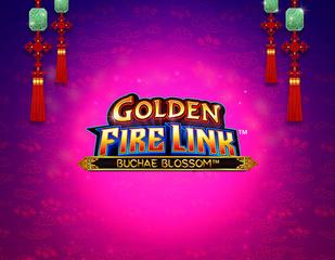 Golden Firelink Buchae Blossom_image_Light & Wonder
