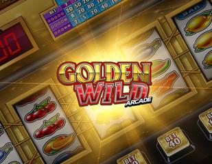 Golden Wild Arcade_image_stakelogic