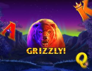 Grizzly_image_Inspired