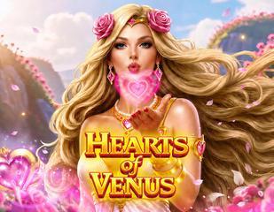 Hearts of Venus_image_PragmaticPlay