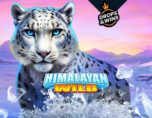 Himalayan Wild_image_PragmaticPlay