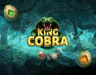 King Cobra_image_Booming Games