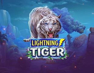 Lightning Tiger_image_Lightning Box