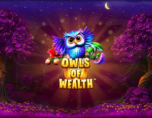 Owls of Wealth_image_Synot