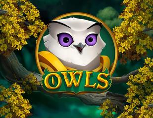 Owls_image_Nolimit City
