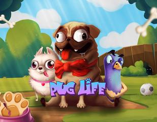 Pug Life_image_Hacksaw