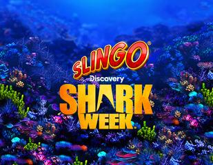 Slingo Shark Week_image_gamingrealms