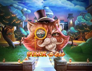 Stack A Cat_image_Leander