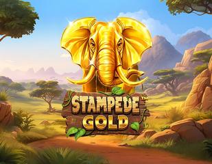 Stampede Gold_image_Betsoft
