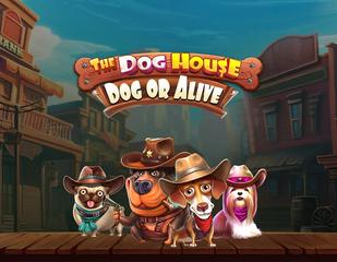 The Dog House – Dog or Alive_image_PragmaticPlay