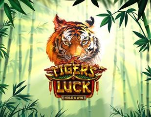 Tiger's Luck:Hold and Win_image_betsoft