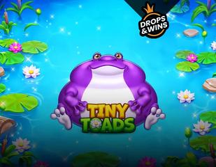 Tiny Toads_image_PragmaticPlay