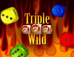 Triple Wild_image_amatic