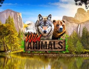 Wild Animals_image_redrake