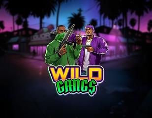 Wild Gangs_image_Yggdrasil