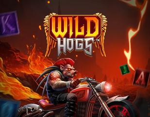 Wild Hogs 96_image_stakelogic