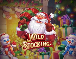Wild Stocking_image_stakelogic