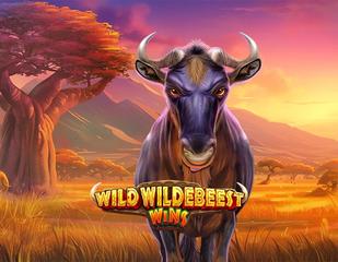 Wild Wildebeest Wins_image_PragmaticPlay