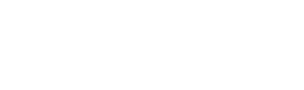 Casinoscout Logo